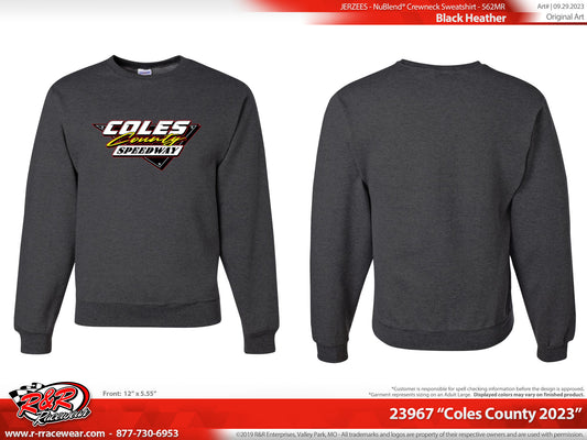Grey Sweat shirt- full color