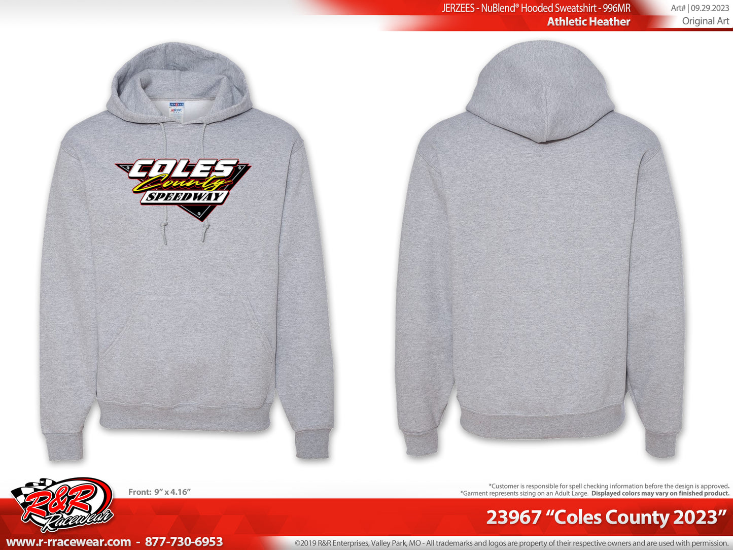 Grey hoodie- full color